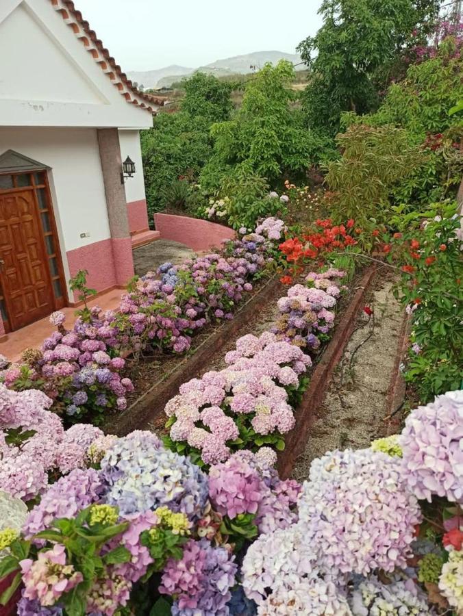 Mar De Flores Vega de San Mateo Exterior foto